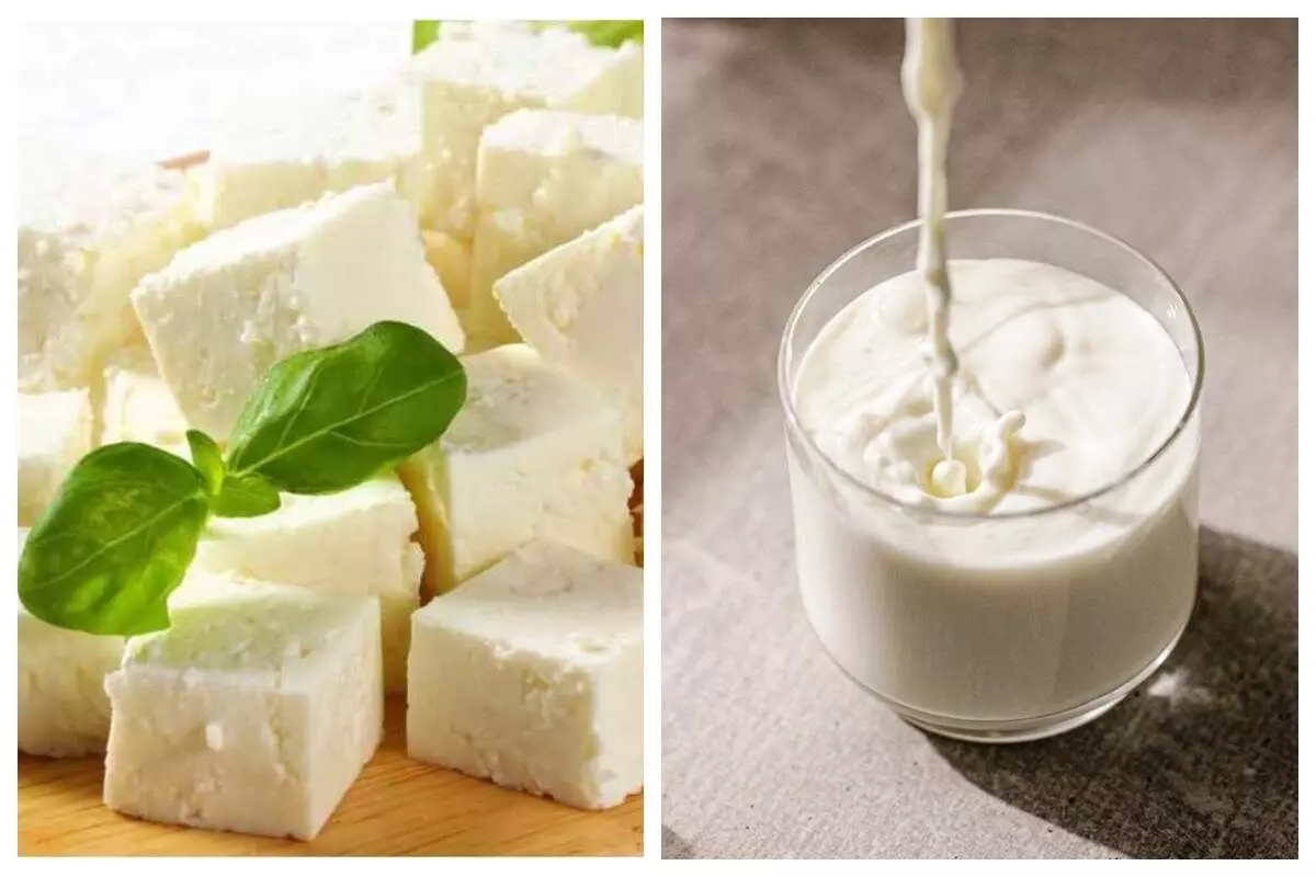 Dairy ज़्यादा मात्रा में (milk, paneer) – हर किसी को suit नहीं करता