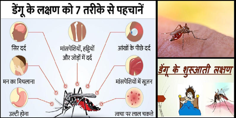 डेंगू कैसे फैलता है ? मच्छर के काटने से संक्रमण - डेंगू का बुखार प्रमुखतः ऐसे मच्छरों के काटने से प्रसारित होता है जो डेंगू वायरस को लेकर आते हैं, इस मच्छर का नाम एडीस एजिप्टी मच्छर है । वायरस मच्छर के शरीर में प्रवेश करता है और इसके मध्यगुटिका में वृद्धि करता है, और इसके बाद अन्य ऊतकों में, साथ ही थूकने वाले ग्रंथियों में भी फैल जाता है। इस प्रक्रिया को "एक्सट्रिंसिक इन्क्यूबेशन पीरियड" (EIP) कहा जाता है, जिसमें वायरस को प्रसारणशील बनने में लगभग 8-12 दिन लगते हैं। तापमान, वायरस के प्रकार और प्रारंभिक वायरल संघटन की धारावाहिकता जैसे एक्सट्रिंसिक इन्क्यूबेशन पीरियड की अवधि पर प्रभाव डाल सकते हैं। एक बार जब मच्छर संक्रामक हो जाता है, तो वह अपने पूरे जीवन के लिए वायरस को प्रसारित कर सकता है।