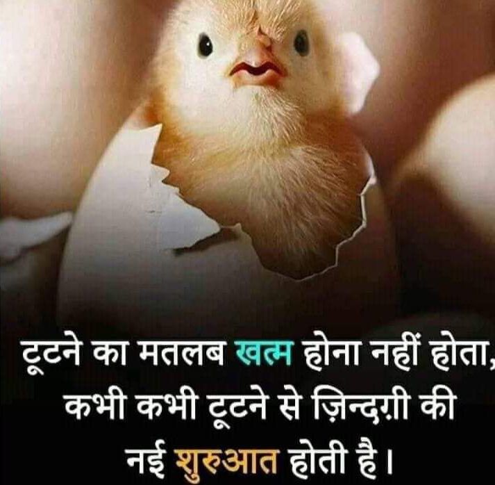 जब बहुत ही मुश्किल परिस्थितियों में हमारा आत्म विश्वास कम होने लगता है और हमें हर छोटे से छोटा काम भी मुश्किलों से भरा और असंभव सा लगने लगता है। उस समय ही हमें ऐसे प्रेरणा से भरे हुए प्रोत्साहन देने वाले विचारों की आवश्यकता होती है।जो हमारे भीतर प्रेरणा की ऐसी उर्जा का निरंतर संचार कर दे की हम अपने लक्ष्यों को हासिल किये बगैर जीवन में कभी भी हार ही नही माने। “जीवन लंबा होने के बजाय महान होना चाहिए।” “विजेता से कभी नहीं पूछा जाएगा कि क्या उसने सच कहा।” “जो अपने कदमों के काबिलियत पर विश्वास रखता है अक्सर वहां अपने मंजिल तक पहुंच जाता है।” “देर से बनो पर जरुर कुछ बनो, जमाना खैरियत नहीं हैसियत पूछता है।”