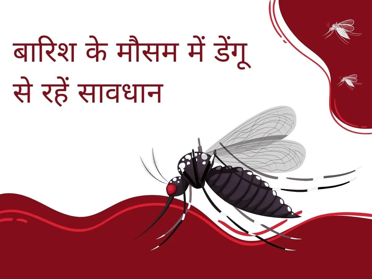डेंगू कैसे फैलता है ? मच्छर के काटने से संक्रमण - डेंगू का बुखार प्रमुखतः ऐसे मच्छरों के काटने से प्रसारित होता है जो डेंगू वायरस को लेकर आते हैं, इस मच्छर का नाम एडीस एजिप्टी मच्छर है । वायरस मच्छर के शरीर में प्रवेश करता है और इसके मध्यगुटिका में वृद्धि करता है, और इसके बाद अन्य ऊतकों में, साथ ही थूकने वाले ग्रंथियों में भी फैल जाता है। इस प्रक्रिया को "एक्सट्रिंसिक इन्क्यूबेशन पीरियड" (EIP) कहा जाता है, जिसमें वायरस को प्रसारणशील बनने में लगभग 8-12 दिन लगते हैं। तापमान, वायरस के प्रकार और प्रारंभिक वायरल संघटन की धारावाहिकता जैसे एक्सट्रिंसिक इन्क्यूबेशन पीरियड की अवधि पर प्रभाव डाल सकते हैं। एक बार जब मच्छर संक्रामक हो जाता है, तो वह अपने पूरे जीवन के लिए वायरस को प्रसारित कर सकता है।