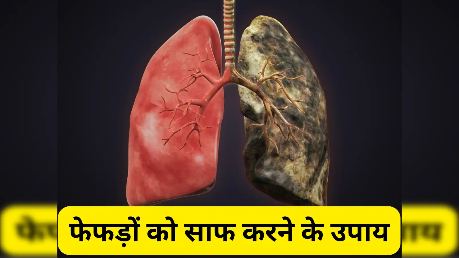  2. गले और श्वसन तंत्र को साफ़ रखने के उपाय
