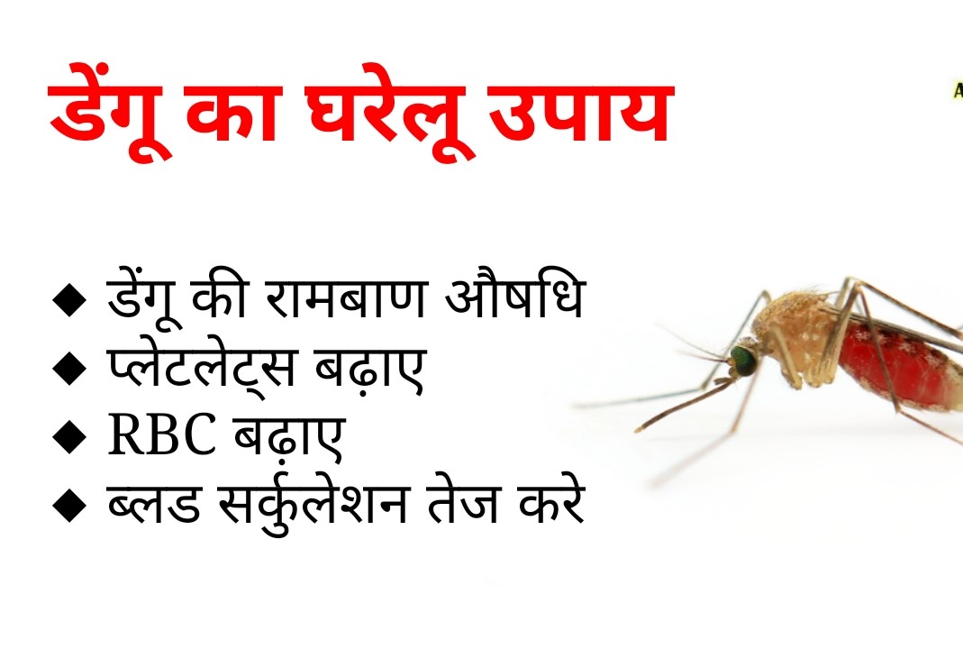 डेंगू बुखार का उपचार कैसे करें : अभी तक डेंगू बुखार का कोई विशिष्ट उपचार नहीं है, क्योंकि डेंगू एक वायरस है। यथासमय देखभाल से मदद मिल सकती है, जो कि इस बात पर निर्भर करता है कि बीमारी कितनी गंभीर है। अगर समय से इस बुखार की पहचान हो जाय तो ,डेंगू बुखार के कुछ बुनियादी उपचार इस प्रकार हो सकते हैं : औषधि : आमतौर पर रोगियों को टायलेनोल या पैरासिटामोल जैसी दर्द निवारक दवाएं दी जाती हैं। अगर बहुत ज्यादा डिहाइड्रेशन हो तो रोगी को आईवी ड्रिप्स भी दी जाती हैं। हाइड्रेटेड रहें : यह सबसे महत्वपूर्ण है कि रोगी को हाइड्रेटेड रखा जाय , क्योंकि डेंगू बुखार में रोगी के शरीर के अधिकांश तरल पदार्थों का उल्टी और तेज बुखार के दौरान ह्रास हो जाता है। तरल पदार्थों के लगातार सेवन से यह सुनिश्चित हो जाता है कि शरीर आसानी से डिहाइड्रेट नहीं होगा। स्वच्छता : स्वच्छता का महत्व हमेशा ही रहा है, किन्तु स्वच्छता का महत्व तब और भी ज्यादा माना जाता है जब आप स्वस्थ नहीं होते हैं। मरीज यदि नियमित स्नान नहीं कर सकता तो स्पंज से स्नान का विकल्प चुन सकता है। नहाने के लिए उपयोग किए जा रहे पानी में डेटॉल या सेवलॉन जैसे कीटाणुनाशक तरल की कुछ बूंदेंअवश्य मिलाएं। यह भी सलाह दी जाती है कि मरीज को देखने से पहले और बाद में हैंड सैनिटाइजर से आप अपने हाथ को हमेशा साफ करें।